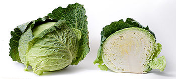 Cabbage and cross section on white.jpg