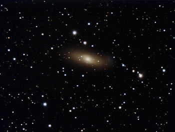 NGC1023 JeffJohnson.jpg
