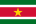 Suriname image