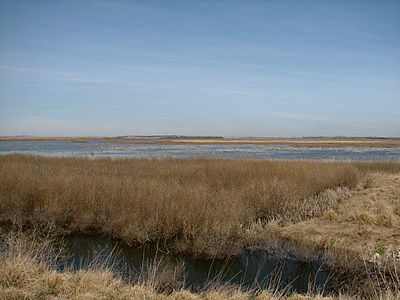 Vista of marshland, with ditch in foreground, brush in middle distance, blue water in far middle distance, shallow hills on horizon, and clear blue sky