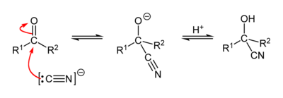 Mechanism of the cyanohydrin reaction