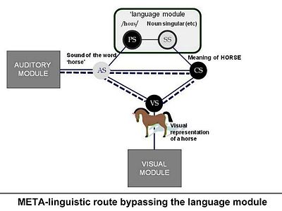 Linguistic diagram