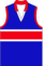 Old footscray jumper.png