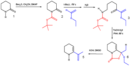 Schematic: synthesis of 6-acetyl-1,2,3,4-tetrahydropyridine