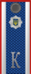 Ukr Police cadet rank.png