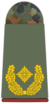 311-Brigadegeneral.png