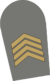8 - Primeiro-sargento.png