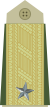 Badge of rank of Brigader of the Norwegian Army.svg