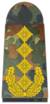 Bundeswehr-OF-9-Gen.png