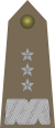 Rank insignia of generał broni of the Army of Poland.svg