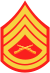 three chevrons up and two down with crossed rifles