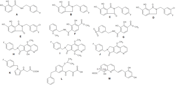 Discovery and development of integrase inhibitors