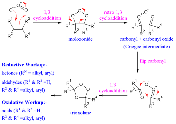The reaction mechanism of ozonolysis.