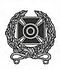 Army Expert rifle badge.jpg