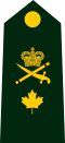 CDN-Army-BGen-Shoulder.svg