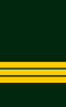 CDN-Army-LCol.svg