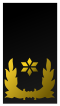 Nl-marechausee-brigade generaal.svg