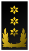 Nl-marechausee-luitenant generaal.svg