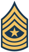 E-9 insignia