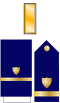 US CG O1 insignia.svg