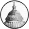 US capitol icon.png