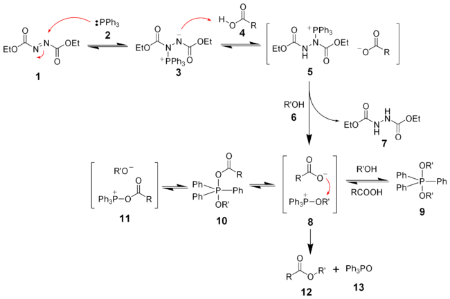 The mechanism of the Mitsunobu reaction