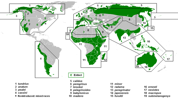 A map of the world, green shows on several continents, but there are also several big bare spots marked with E for extinct.