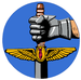 25th Air Support Operations Squadron.PNG
