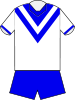 Canterbury home jersey 1966.svg