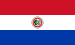 Flag of the Paraguayan Republic