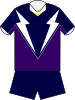 Melbourne Storm home jersey 2003.svg