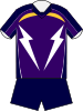 Melbourne Storm home jersey 2010.svg