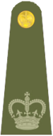 UK Army OR8a.png