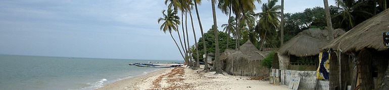A shoreline showing several coconut trees and a few small houses