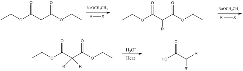 Dialkylation malonic ester synthesis mechanism.png