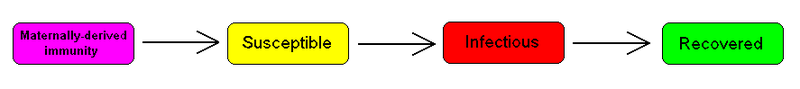 MSIR compartmental model