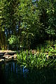 2008-07-24 Lily pond at Duke Gardens 1.jpg