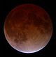 Lunar eclipse November 2003-TLR63.jpg
