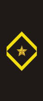 Worn on the sleeve, a gold star surrounded inside of a gold diamond.