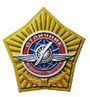 Breast Badge Excellent air transport.jpg