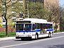 MTA Bus Orion V CNG 731.jpg