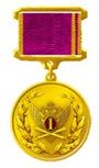 Medal of Merit of the Federal Registration Service.jpg