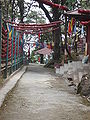 Tiger Hill Darjeeling West Bengal India (4).JPG