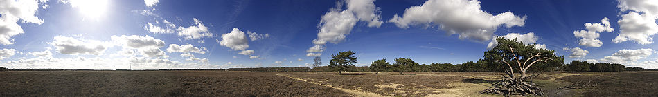 360 degree view of a heath near Bussum