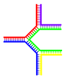 Multi-branch-dna.png