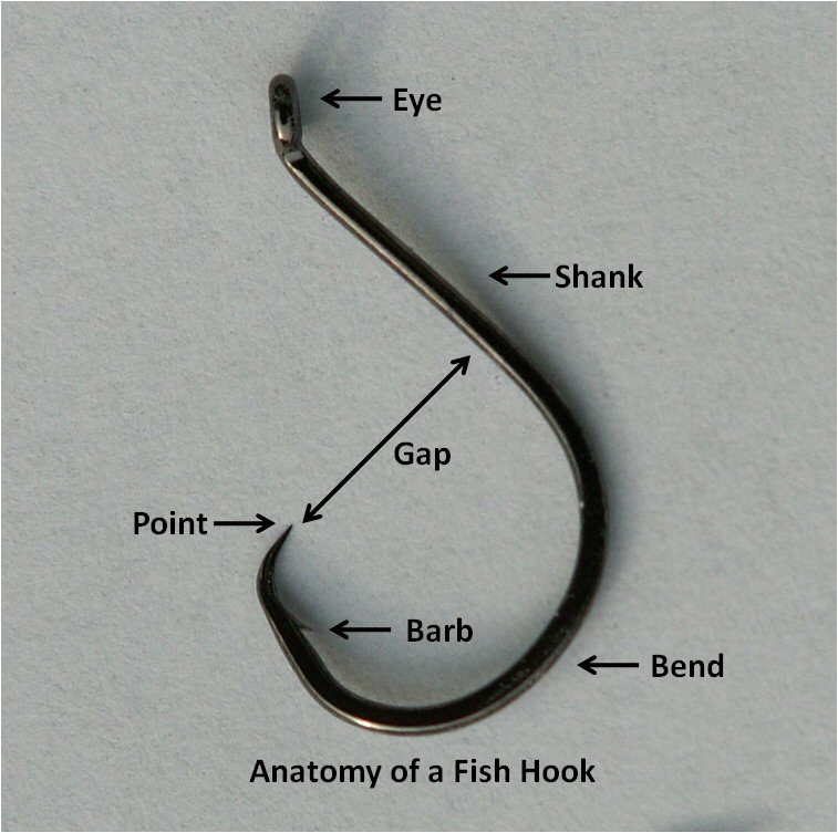 Fish hook