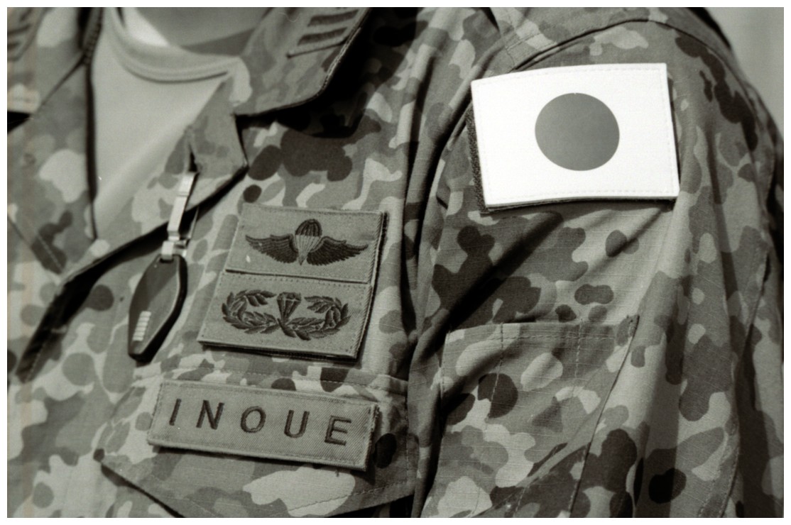 Japan Self Defense Forces