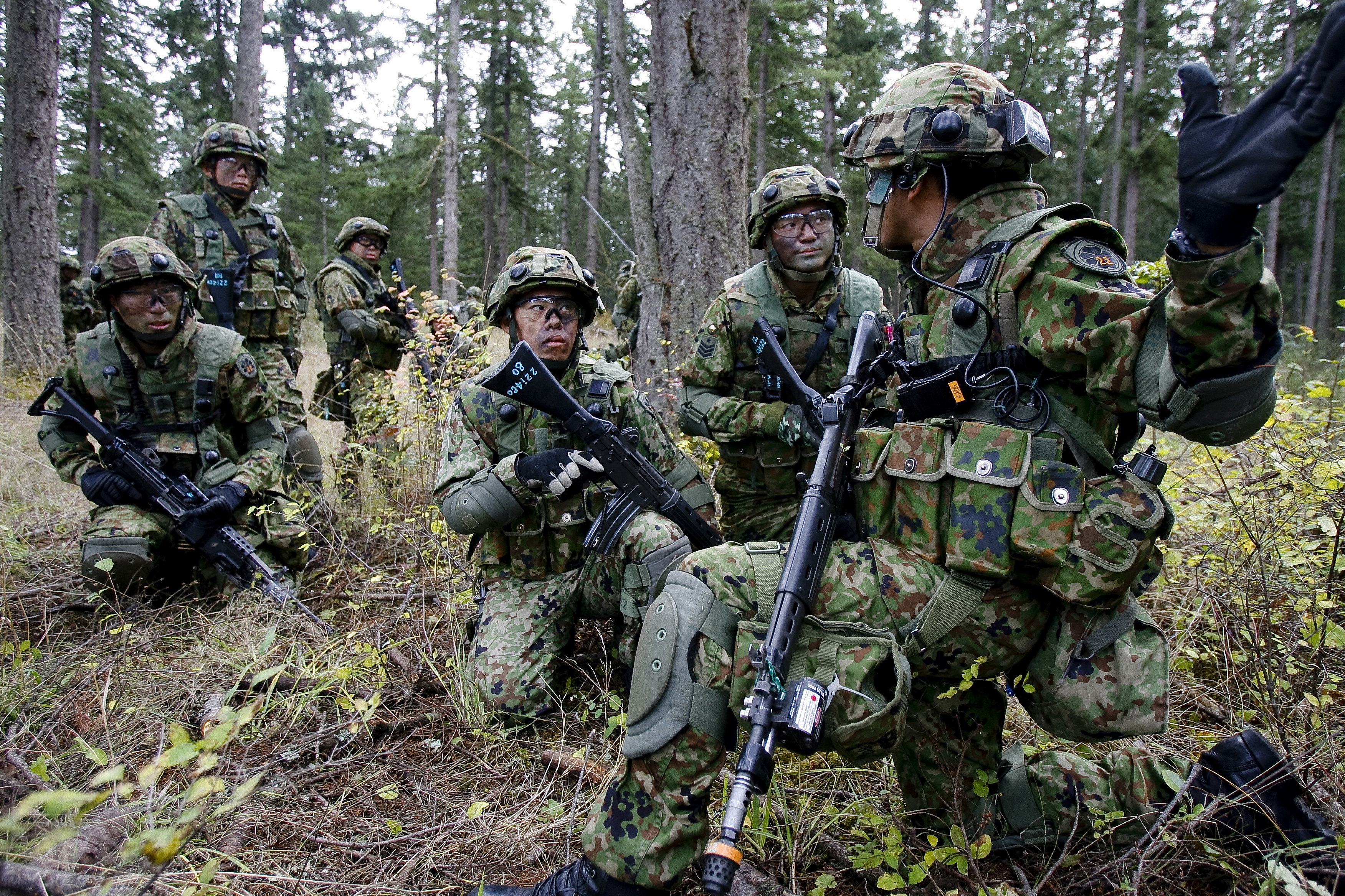 Japan Self Defense Forces