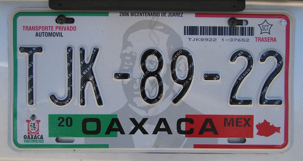 Coahuila Mexico Any Name Number Novelty Auto Car License Plate C04 