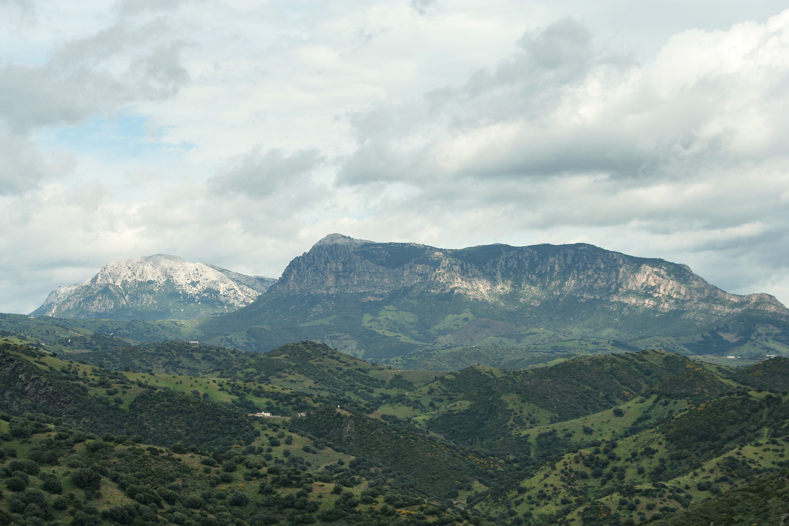 Эль монте. Гора Альба де Чермит. Monte Santo горы. Гора Альба фото. Горы Пунта-ла-Мармора в Сарди́нии.